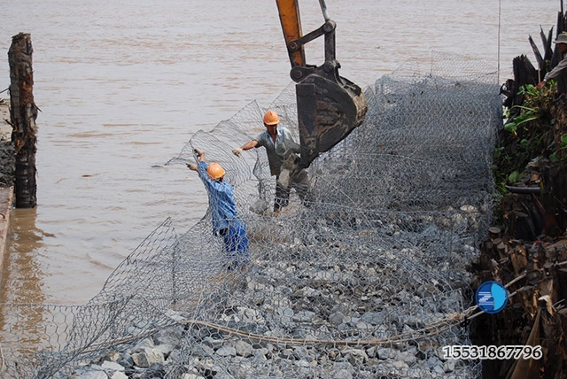 ct317-1732.jpg ct317-1732.jpg