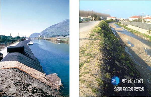 ct500-1656.jpg ct500-1656.jpg